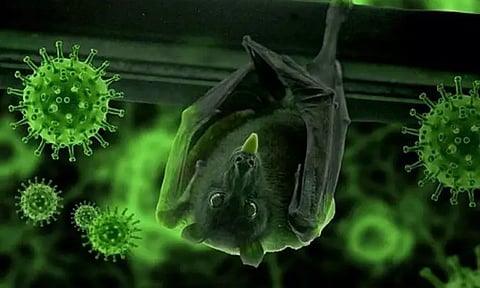 மீண்டும் மிரட்ட வரும் புதிய வைரஸ் கோஸ்டா-2