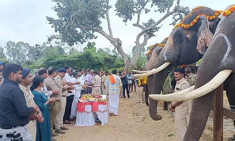 புதிய யானைகள் முகாம் தொடக்கம்