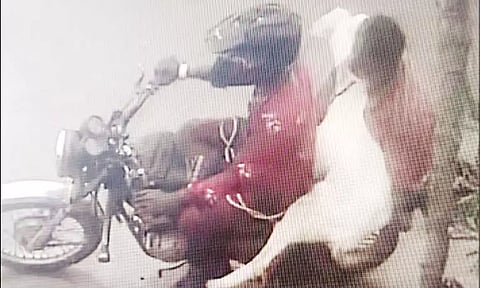 பட்டப்பகலில் ஆடு திருடும் கும்பல்: சமூக வலைதளங்களில் பரவும் வீடியோவால் பரபரப்பு