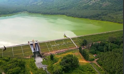 62 அடியாக உயர்ந்த மருதாநதி அணை நீர்மட்டம்