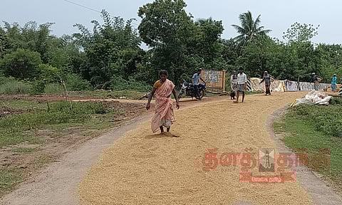 மழையில் நனைந்த நெல்லை காயவைக்கும் பணி