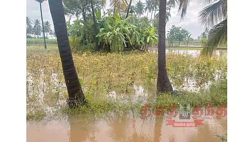 எடப்பாடி, தேவூர் பகுதியில் கனமழை: பருத்தி, நெல் பயிர்களை தண்ணீர் சூழ்ந்தது விவசாயிகள் வேதனை