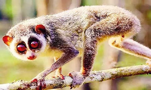 கோப்புப்படம்