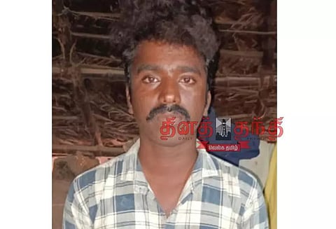 மாடு மேய்த்த பெண்ணிடம் தாலி சங்கிலி பறிப்பு