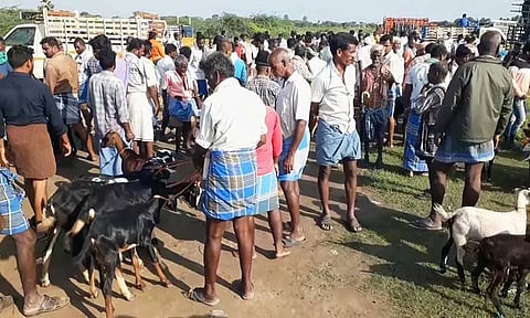 உளுந்தூர்பேட்டை வார சந்தையில் ரூ.3 கோடிக்கு ஆடுகள் விற்பனை