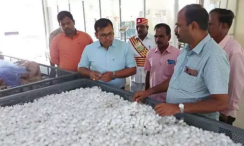 வாணியம்பாடி பட்டு வளர்ச்சி அலுவலகத்தில் கலெக்டர் திடீர் ஆய்வு