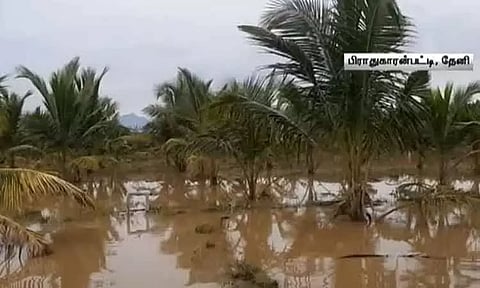 தேனியில் விளைநிலங்களில் தேங்கி நிற்கும் வெள்ள நீர் - விவசாயிகள் கவலை