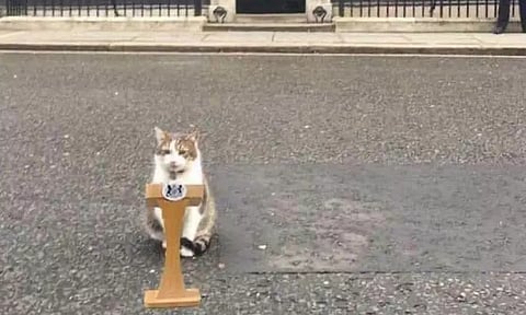 லிஸ் டிரஸ்சின் ராஜினாமாவை தொடர்ந்து வைரலான பூனையின் டுவிட்டர் பதிவு