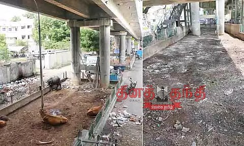 தென்னூர் மேம்பாலத்தின் கீழ்பகுதியை சுத்தம் செய்த மாநகராட்சி ஊழியர்கள்