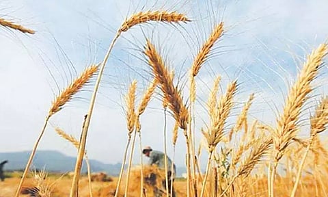 கடந்த ஆண்டு, அதிக வெயில் காரணமாக இந்தியாவுக்கு ரூ.13 லட்சம் கோடி இழப்பு