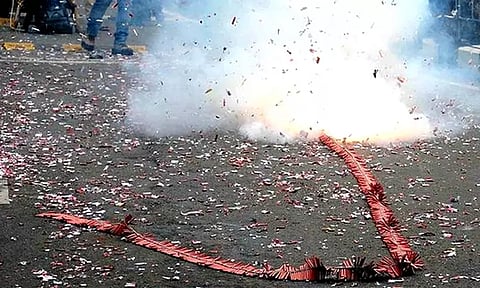 தீபாவளி பண்டிகை: மைசூருவில் உயிரியல் பூங்கா, ஆஸ்பத்திரி பகுதிகளில் பட்டாசு வெடிக்க தடை