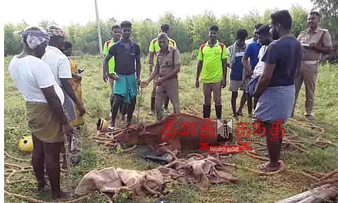 கிணற்றில் விழுந்த பசுமாடு, ஆடு உயிருடன் மீட்பு