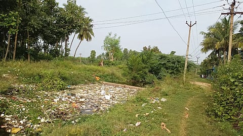 பாசன வாய்க்கால்களை தூர்வாராததால் வெள்ளத்தில் மூழ்கும் பயிர்கள்