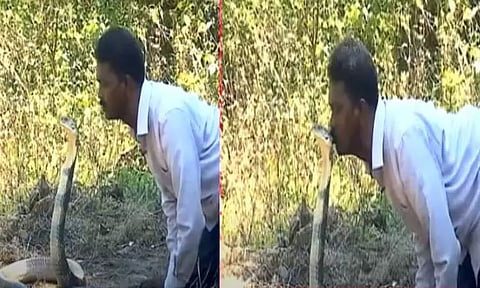 "இருந்தாலும் உங்களுக்கு தைரியம் அதிகம்" - ராஜநாகத்திற்கே முத்தம் கொடுத்த வாவா சுரேஷ்