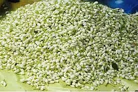 திண்டுக்கல்லில் பூக்கள் விலை கிடுகிடு உயர்வு