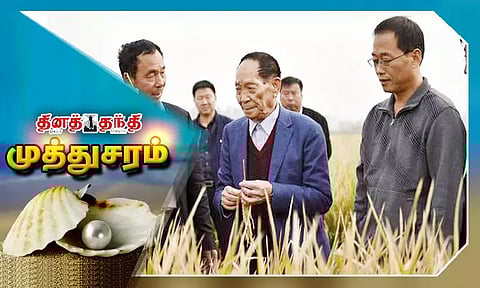 நடவு ஒருமுறை, அறுவடை பலமுறை..!