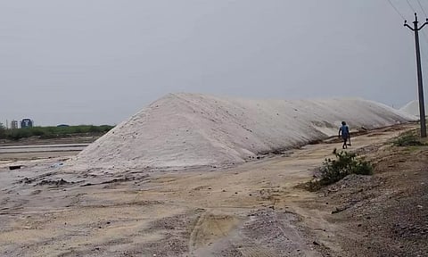 உப்பு உற்பத்தி தொழிலாளர்களின் கோரிக்கை நிறைவேற்றப்படுமா?