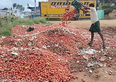 தக்காளி விலை வீழ்ச்சி