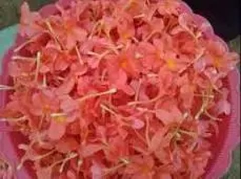 சத்தியமங்கலம் மார்க்கெட்டில் கனகாம்பரம் கிலோ ரூ.1,000-க்கு ஏலம்