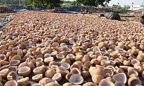 ரூ.3¾ லட்சத்துக்கு தேங்காய் பருப்பு ஏலம்