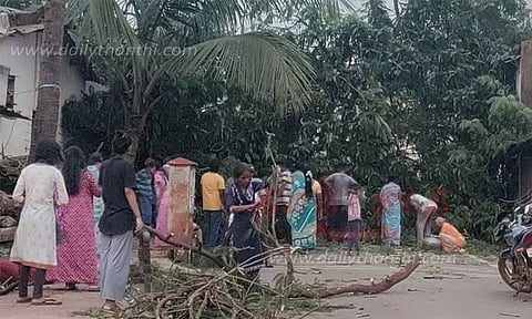 உப்பள்ளியில் சூறாவளி காற்றுக்கு தாக்குப்பிடிக்காமல் சாய்ந்த பழமையான மரம்
