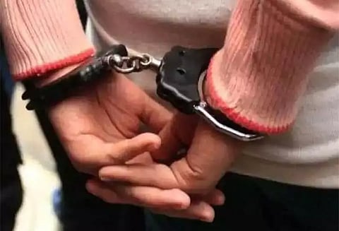 காட்டுப்பன்றிகளை வேட்டையாடிய 3 பேர் கைது