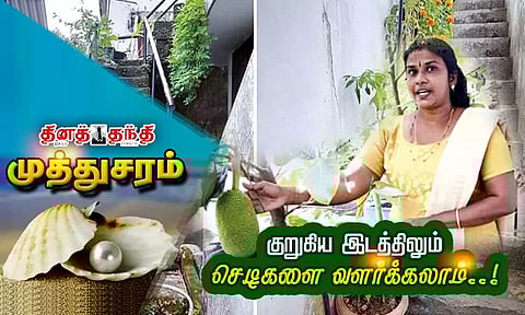 குறுகிய இடத்திலும் செடிகளை வளர்க்கலாம்..!