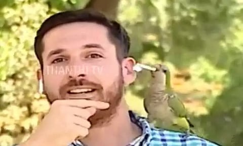 செய்தியாளரின் இயர்போனை திருடிய கிளி....நேரலையில் பதிவான வேடிக்கை சம்பவம்