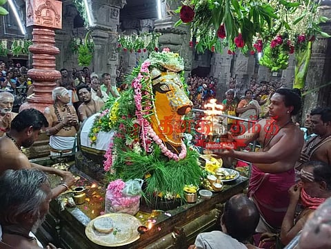 செண்பகவல்லி அம்மன் கோவிலில் சனி பிரதோஷ விழா