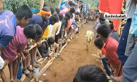 கிருஷ்ணகிரி போச்சம்பள்ளி அருகே எருதுவிடும் விழா; 300-க்கும் மேற்பட்ட காளைகள் பங்கேற்பு