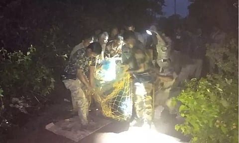 கடையம் அருகே 3 பேரை கடித்து குதறிய கரடி; மயக்க ஊசி செலுத்தி பிடித்த வனத்துறையினர்