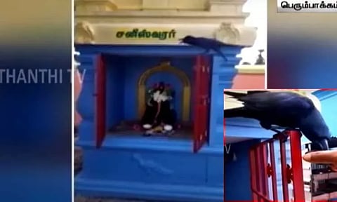 சனீஸ்வரர் சன்னதியில் தினமும் தரிசனம் செய்யும் காகம்...! மெய் சிலிர்க்க வைக்கும் நிகழ்வு