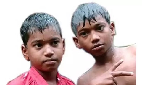 திட்டக்குடி அருகே ஏரியில் மூழ்கி அண்ணன்-தம்பி பலி