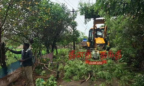 சாலையில் இடையூறாக உள்ள மரங்களை அகற்றும் பணி