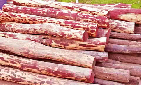 செங்குன்றம் அருகே ரூ.5 லட்சம் செம்மரக்கட்டைகள் பறிமுதல்