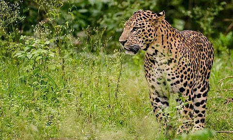 கோப்புப்படம்