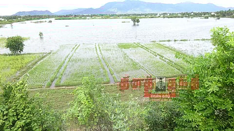 500 ஏக்கர் பயிர்கள் தண்ணீரில் மூழ்கின