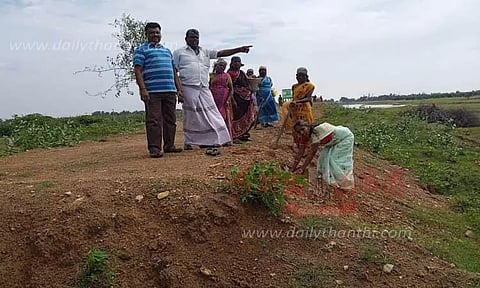 பனை விதைகள் விதைப்பு