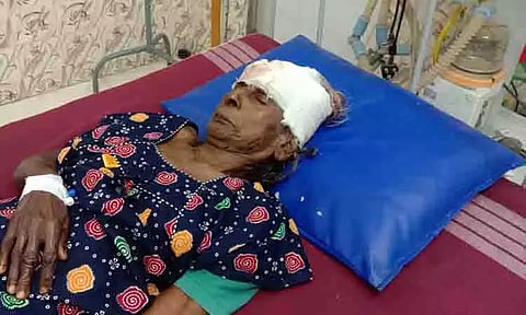 வீட்டில் தனியாக இருந்த மூதாட்டியை தாக்கி 12 பவுன் நகை திருட்டு