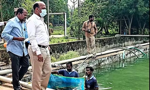 லால்பேட்டையில் விரால் மீன் குஞ்சுகள் வளர்ப்பிற்காக தொட்டிகள் அமைக்கும் பணி கலெக்டர் பாலசுப்பிரமணியம் ஆய்வு