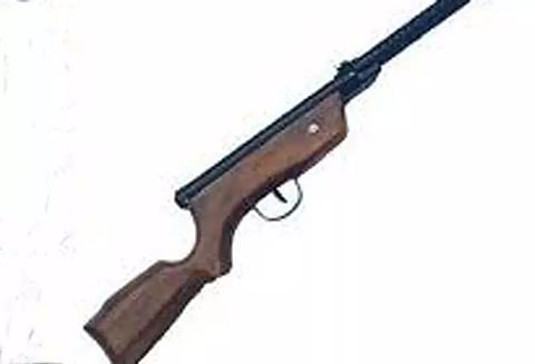 நாட்டுத்துப்பாக்கிகளை ஒப்படைக்க வேண்டும்