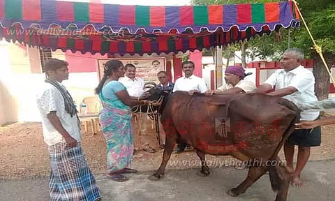 கால்நடை சிகிச்சை முகாம்