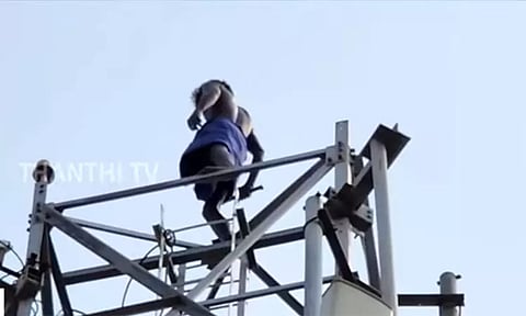 கோவையில் செல்போன் டவர் மீது ஏறி தற்கொலை மிரட்டல் விடுத்த போதை ஆசாமியால் பரபரப்பு