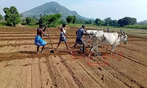 மணிலா பயிரிடுவதில் விவசாயிகள் தீவிரம்