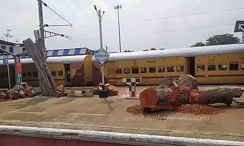 மின்வழித்தடத்திற்காக வெட்டப்பட்ட மரங்களை அகற்ற வேண்டும்