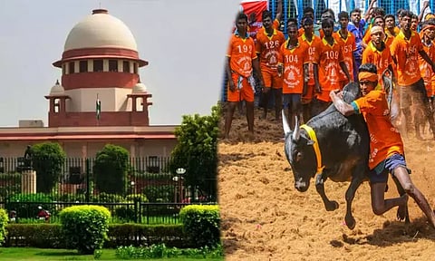 ஜல்லிக்கட்டு போட்டிக்கு எதிரான மனுக்கள் மீது சுப்ரீம் கோர்ட்டில் இன்று விசாரணை