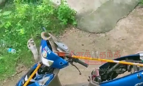 ஸ்கூட்டருக்குள் மறைந்திருந்த 7 அடி நீள நல்லபாம்பு