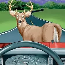 ஆசனூர் அருகே லாரி மோதி 3 புள்ளிமான்கள் பலி- டிரைவர் மீது வழக்குப்பதிவு