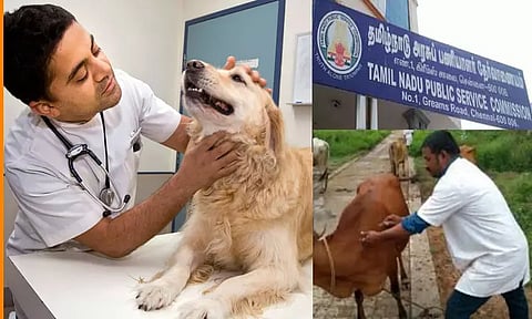 கால்நடை மருத்துவர்களுக்கு வேலை