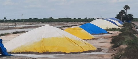 கல் உப்பின் விலை உயருமா?